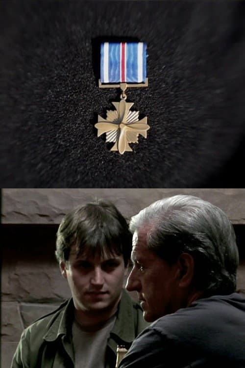 Distinguished Flying Cross (2011) poster