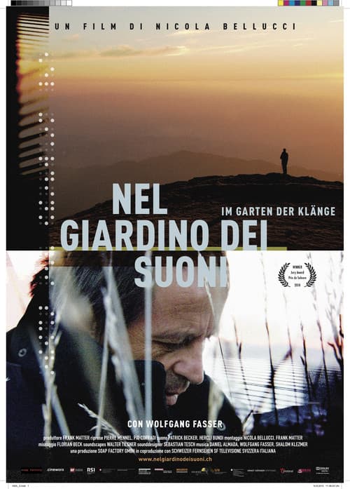 Nel giardino dei suoni (2010) poster