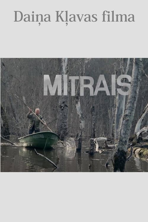 Mitrais (2013) poster