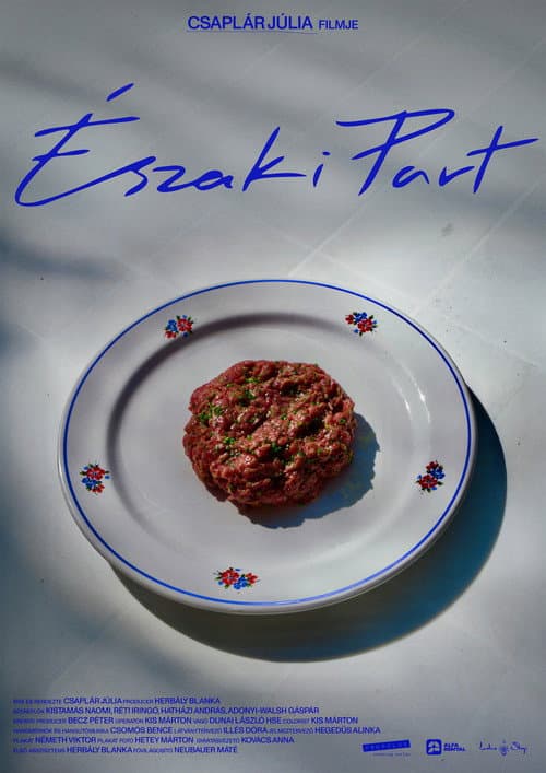 Északi part (2026) poster