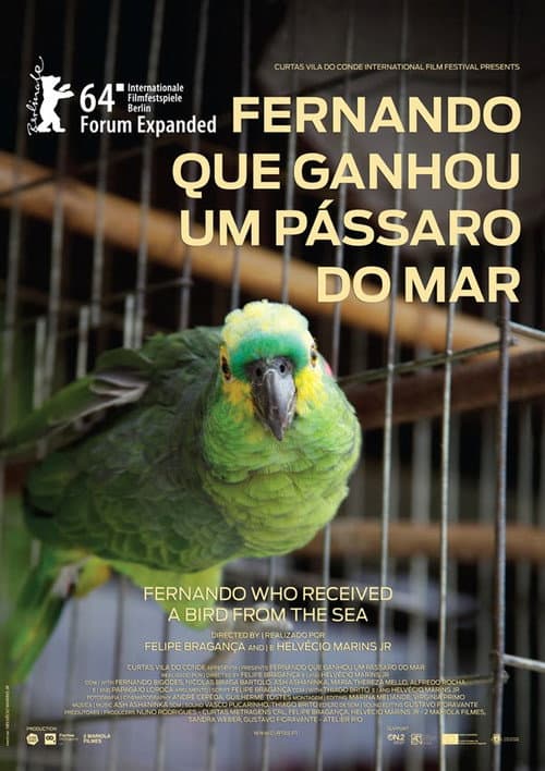 Fernando que Ganhou um Pássaro do Mar (2014) poster