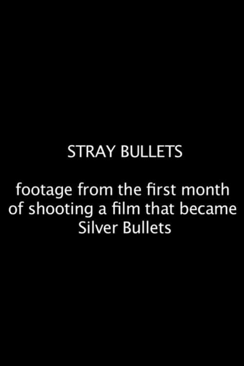 Stray Bullets (2012) poster