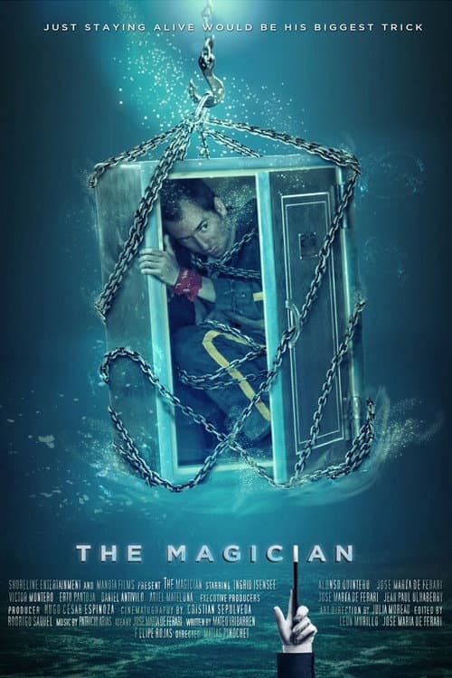El mago (2014) poster