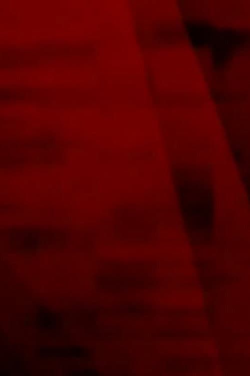 nszra (2002) poster
