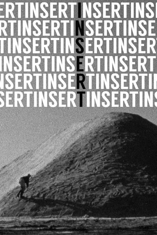 Insert (2010) poster