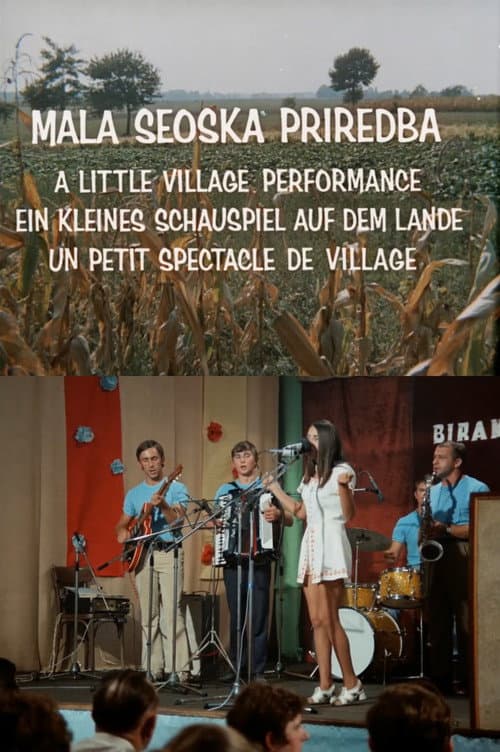 Mala seoska priredba (1971) poster