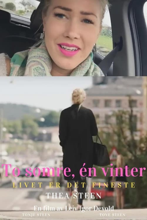To somre, èn vinter (2017) poster