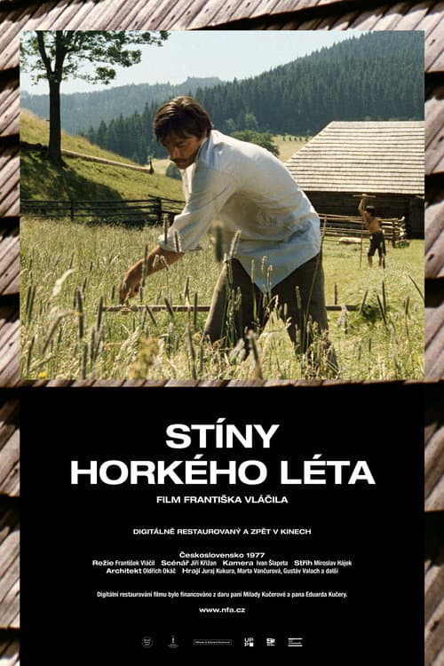 Stíny horkého léta (1978) poster