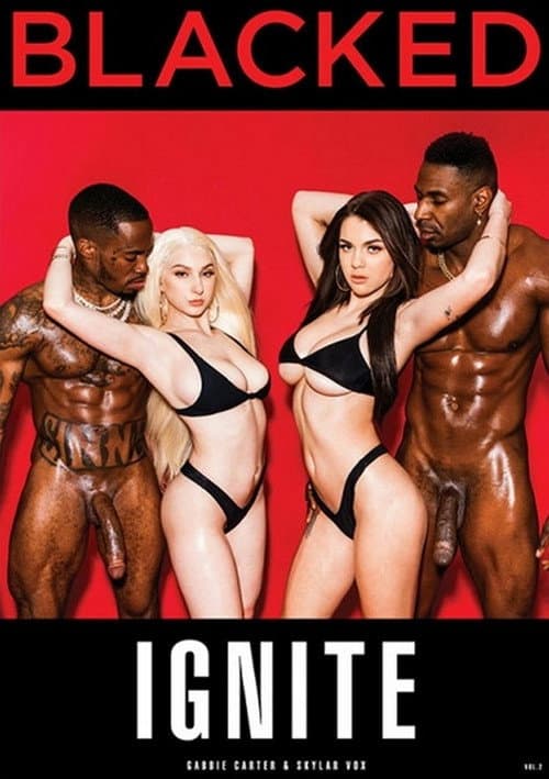 Ignite 2 (2021) poster