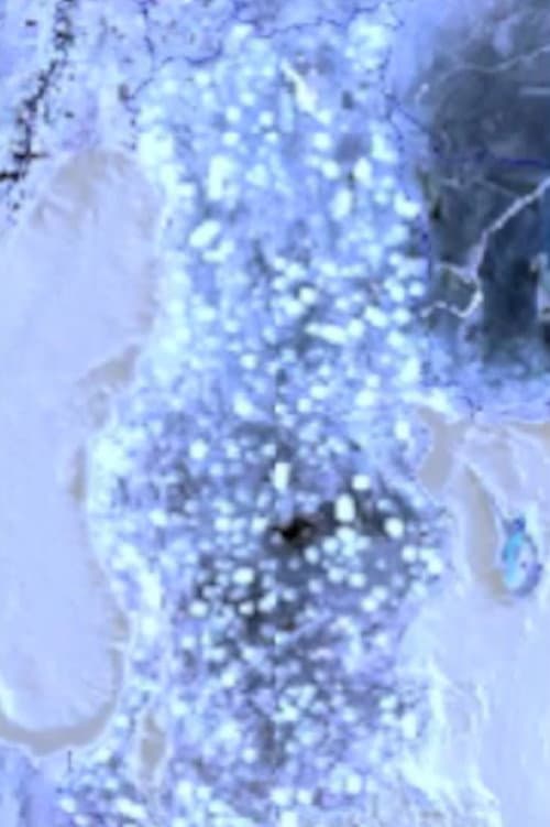 kanser (2011) poster