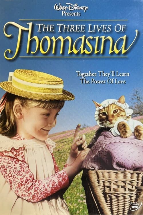 Disney's Beautiful Witch (2004) poster