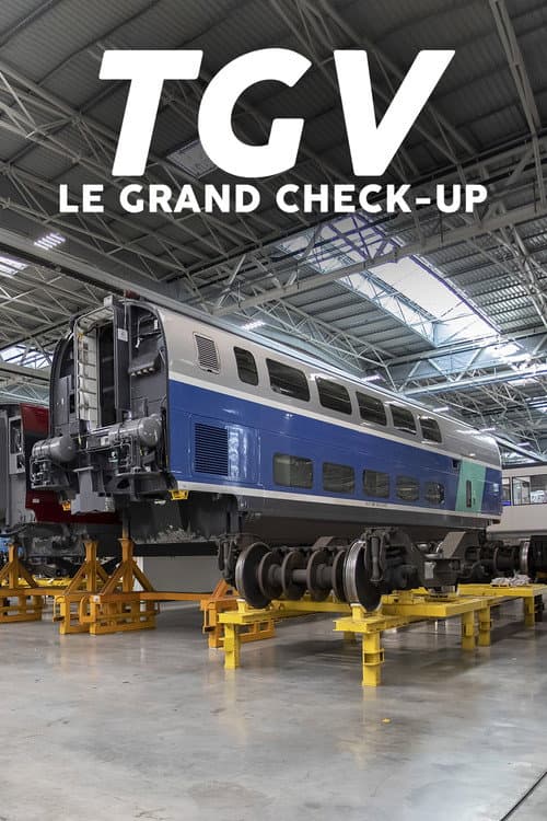TGV : Le Grand Check-up (2022) poster