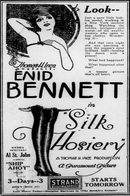 Silk Hosiery (1920) poster