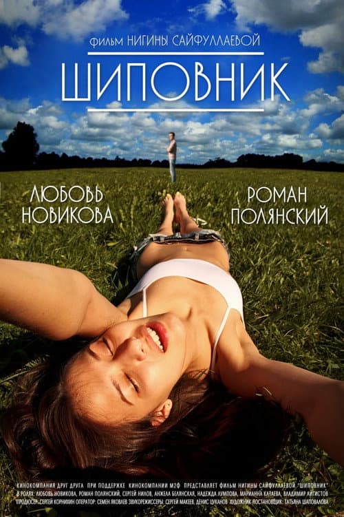 Шиповник (2011) poster