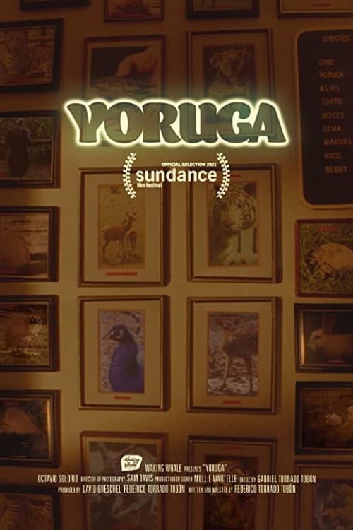 Yoruga (2021) poster