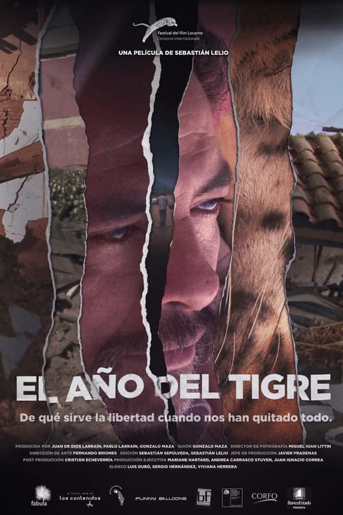 El año del tigre (2013) poster