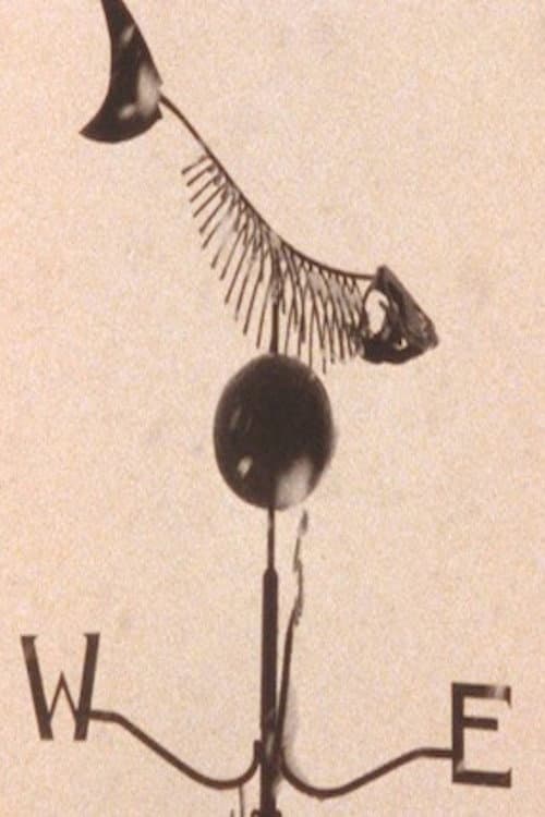 Trout Fly Deep Trout Too (2000) poster