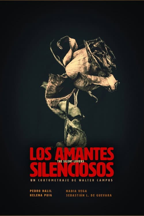Los amantes silenciosos (2019) poster