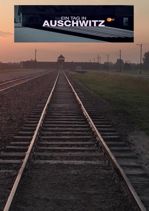 Ein Tag in Auschwitz (2020) poster