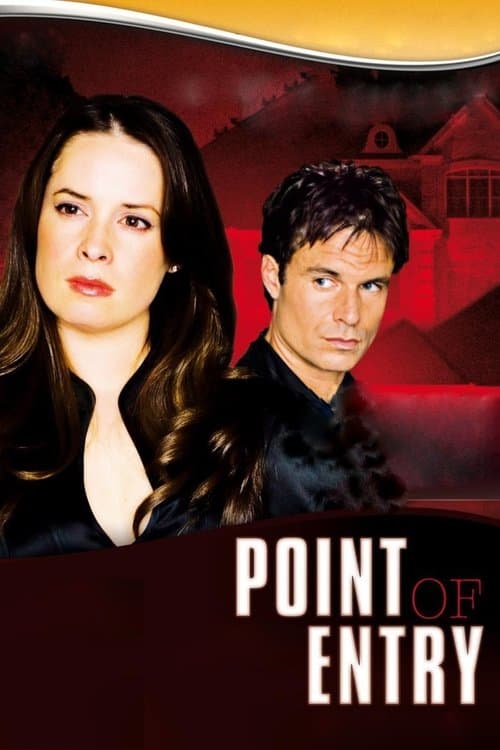 Point of Entry (2007) poster