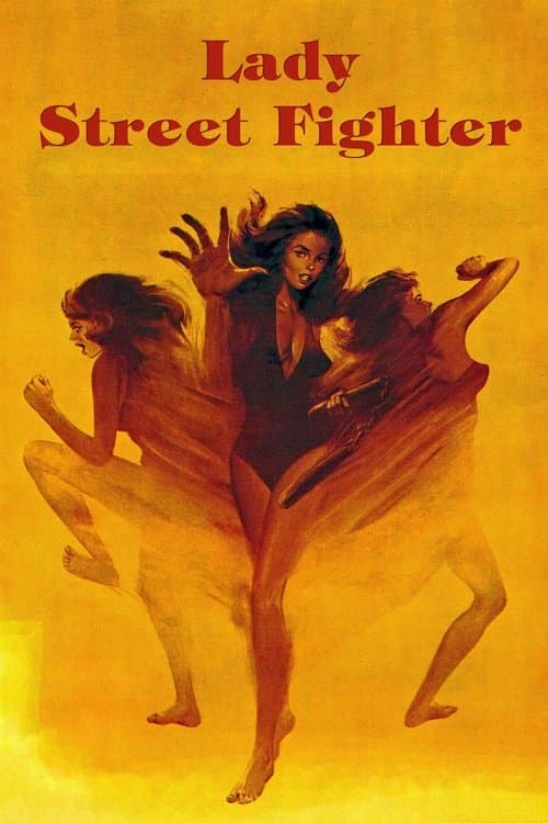 Lady Street Fighter (1977) poster