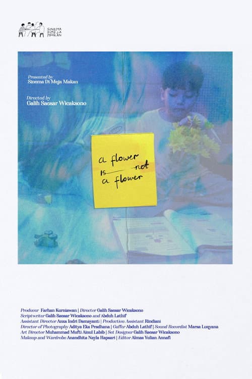 A Flower is Not a Flower (2026) poster