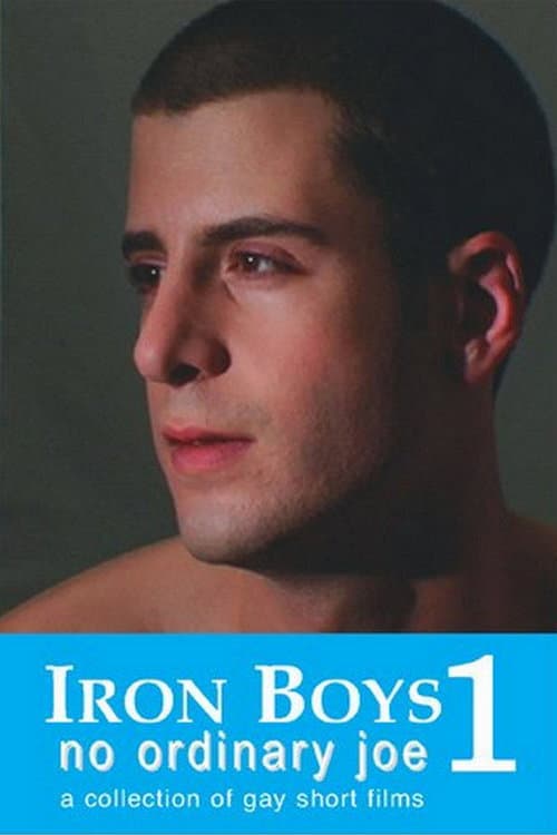 Iron Boys 1: No Ordinary Joe (2008) poster