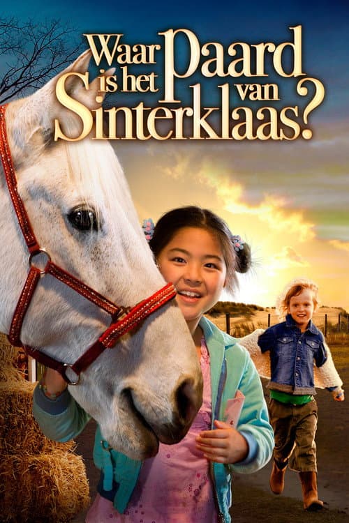 Waar is het paard van Sinterklaas? (2007) poster