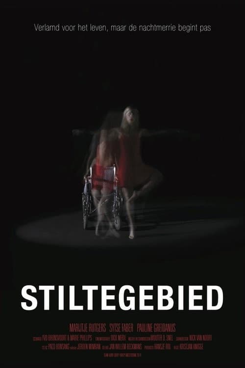 Stiltegebied (2015) poster