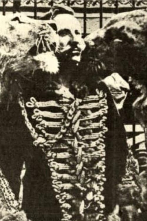 In pasto ai leoni (1912) poster