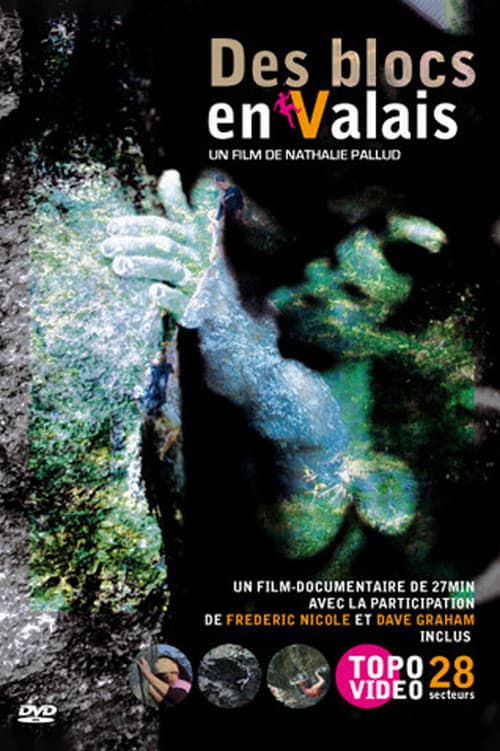 Des Blocs En Valais (2008) poster