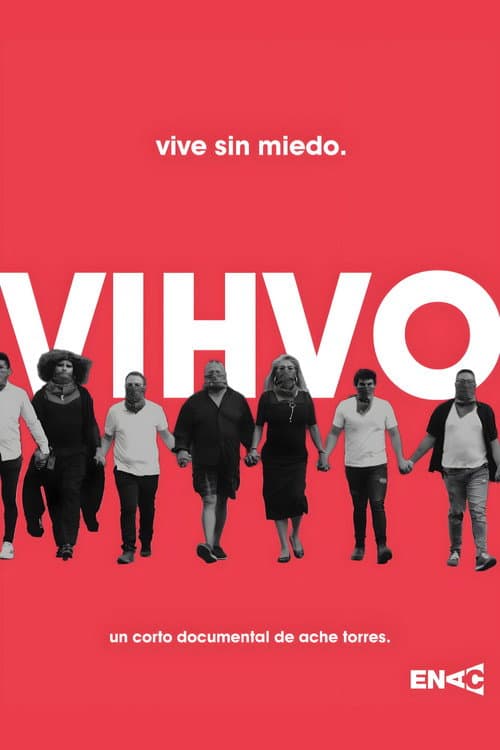 VIHVO (2024) poster