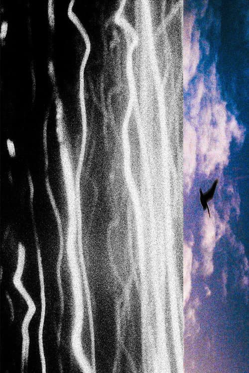 Ciudad con Sueños de Mar (2024) poster