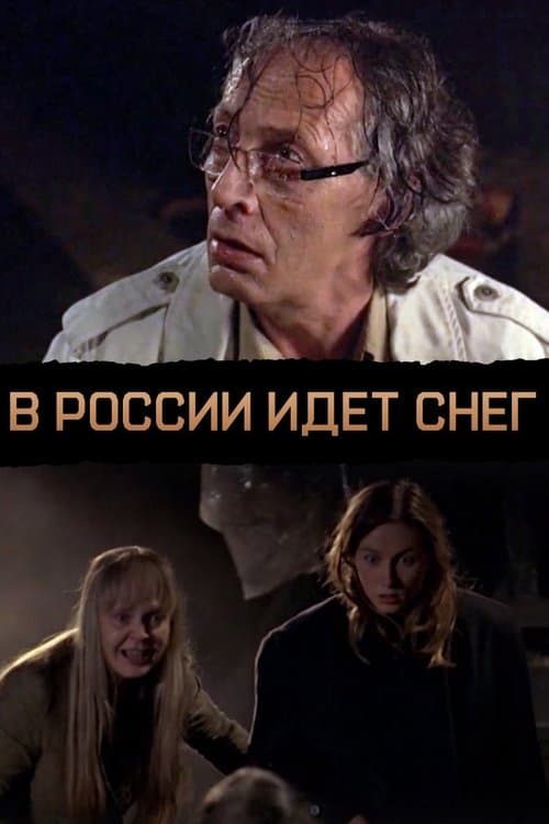 В России идёт снег (2010) poster
