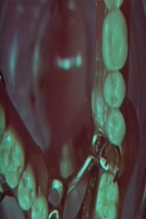 Macrozoom (1968) poster