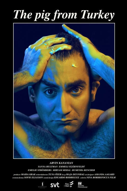 Grisen från Turkiet (2020) poster