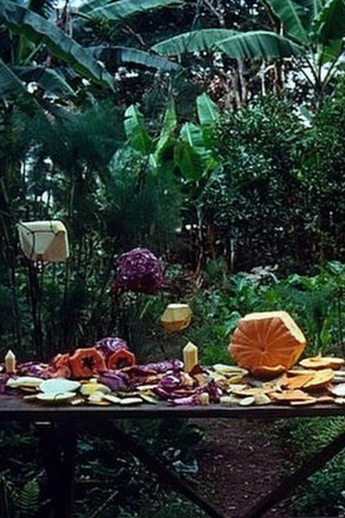 Fruit Polyhedron (2009) poster