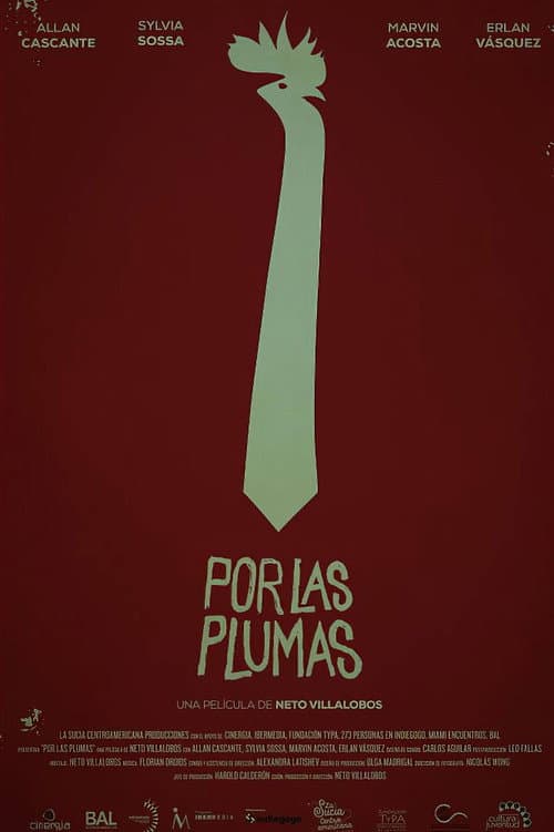 Por las plumas (2013) poster