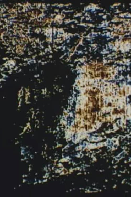 Two Pictures (1999) poster