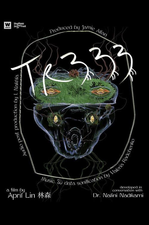 TR333 (2021) poster