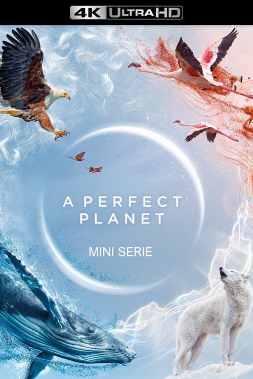 A Perfect Planet (2021) poster