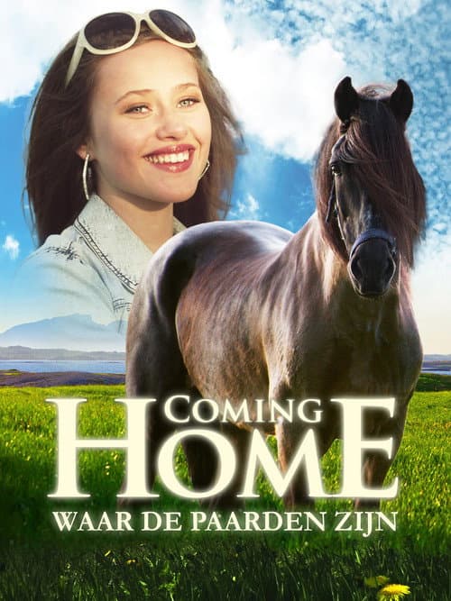 Til siste hinder (2011) poster