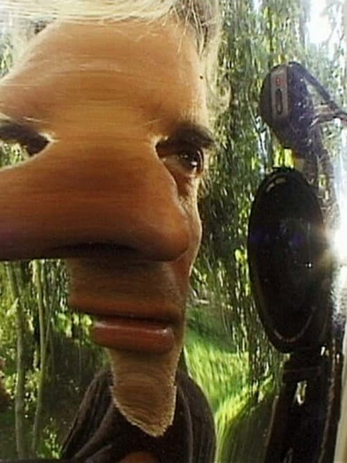 A proposito degli effetti speciali (2001) poster