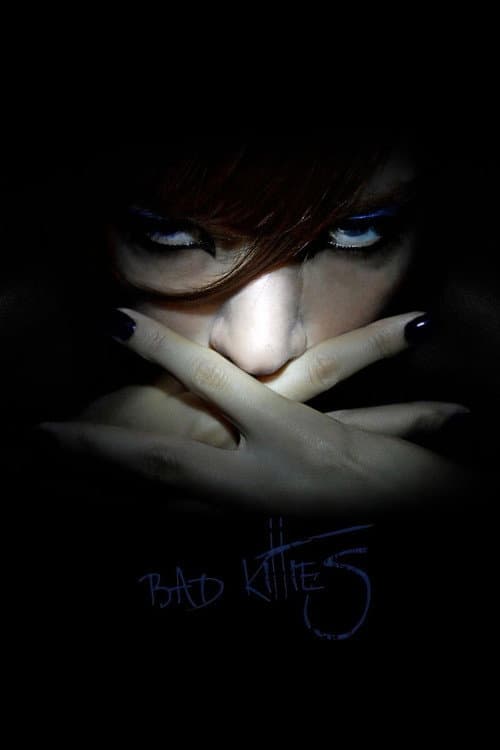 Bad Kitties (2013) poster