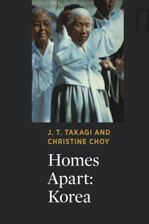 Homes Apart: Korea (1991) poster