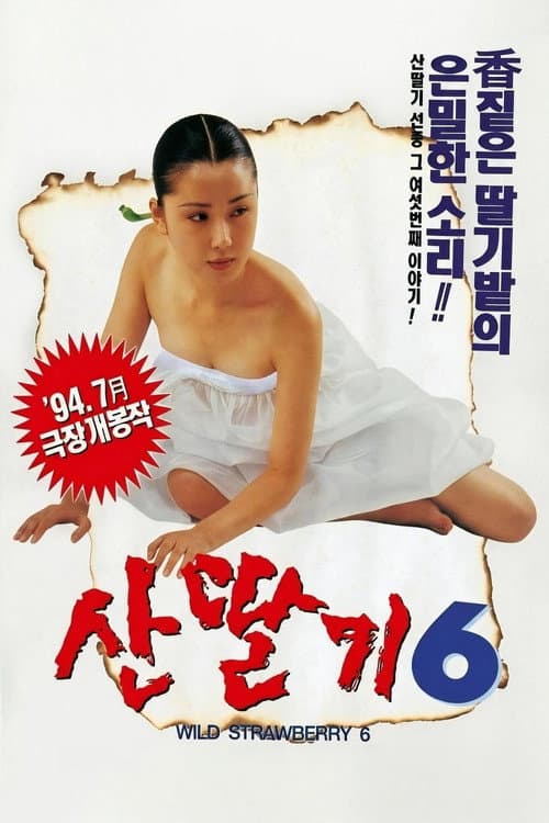 산딸기 6 (1994) poster