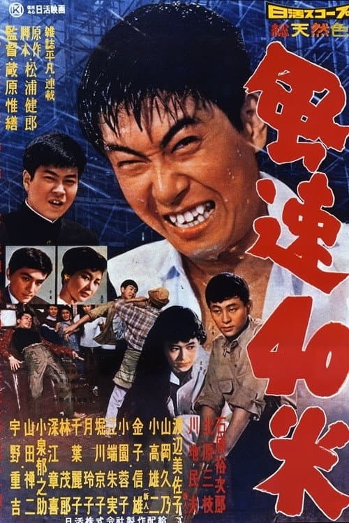 風速40米 (1958) poster