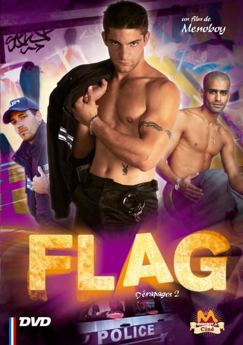 Flag (2009) poster