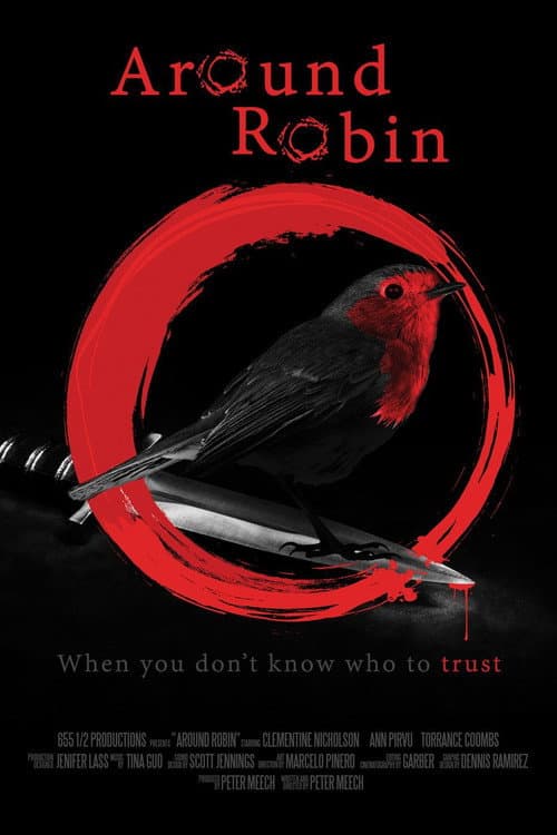 Around Robin (2021) poster