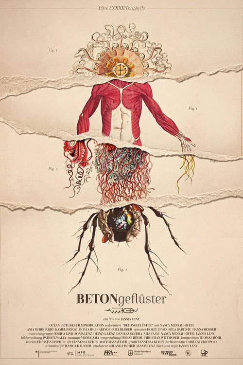 Betongeflüster (2024) poster